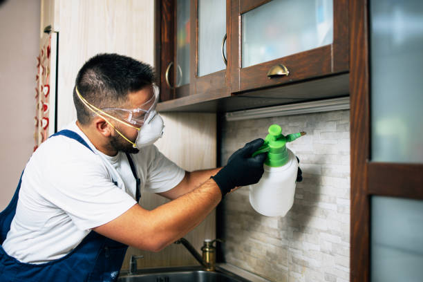 Flea Control Services in Seabrook, SC