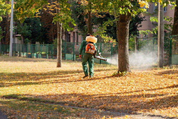 Best Insect Control  in Seabrook, SC